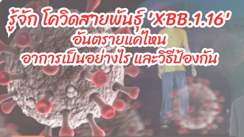 รู้จัก โควิดสายพันธุ์ 'XBB.1.16' อันตรายแค่ไหน อาการเป็นอย่างไร วิธีป้องกัน